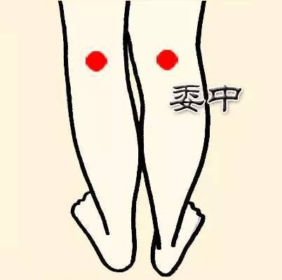 委中穴瘦腿
