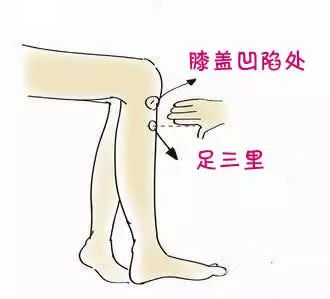足三里瘦腿