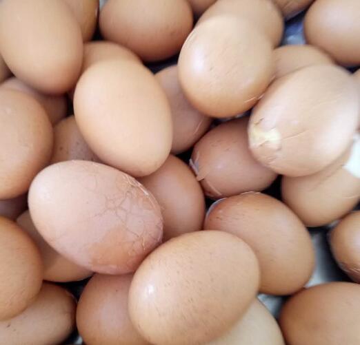 减脂期间到底吃蛋黄还是吃鸡蛋白呢？