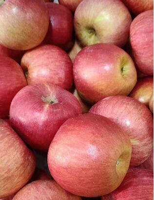 苹果减肥方法靠谱吗？