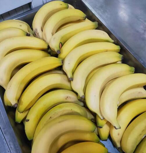 用香蕉减肥有效吗？