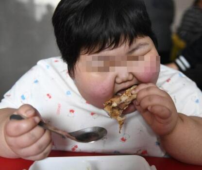 饮食和课业影响肥胖儿童吗