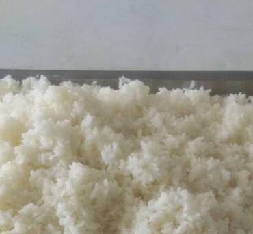 不吃米饭真的能减肥吗